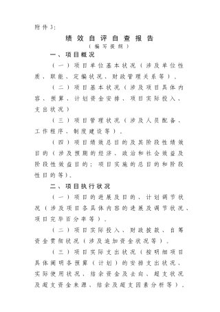 2025年绩效自评自查报告