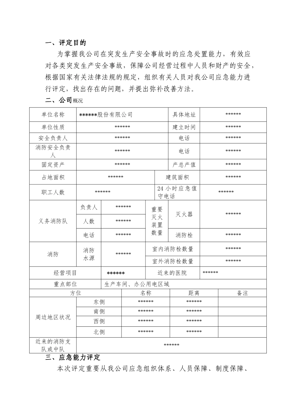 2025年应急能力评估报告_第2页
