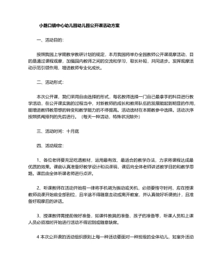 2025年公开课活动方案