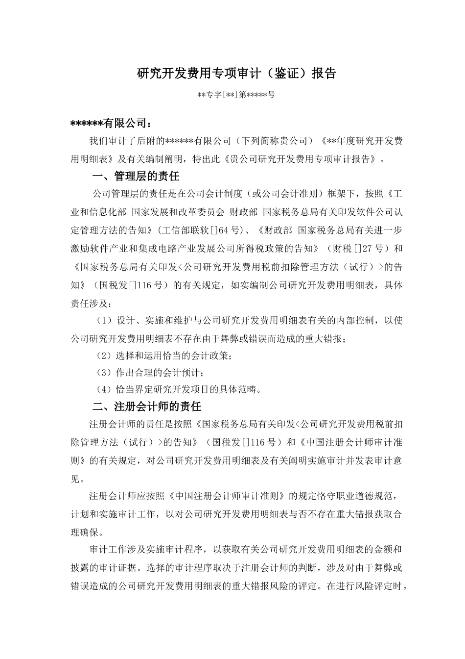 2025年研究开发费用专项审计报告模板_第2页