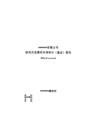 2025年研究开发费用专项审计报告模板