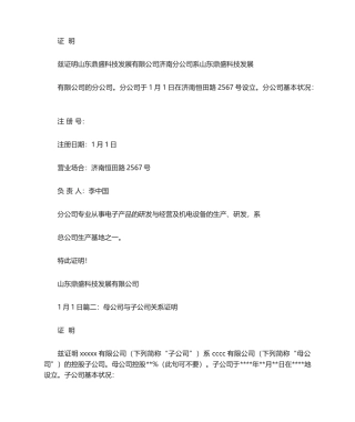 2025年子公司证明书