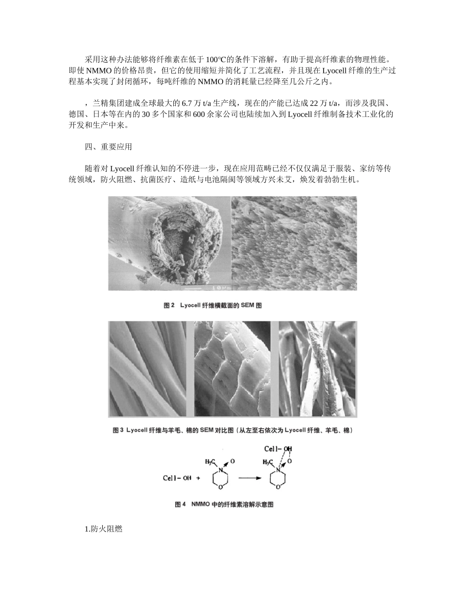 2025年莱赛尔纤维技术和产业发展现状_第3页