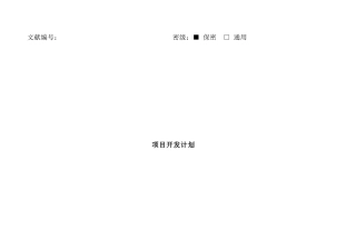 2025年项目开发计划书