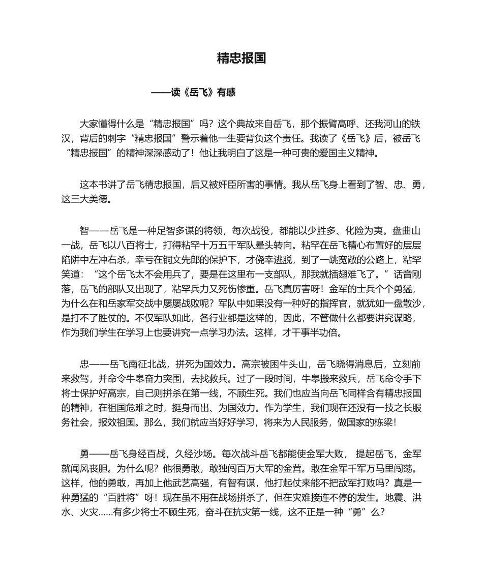 2025年《精忠报国》读后感_第1页
