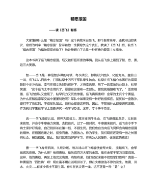 2025年《精忠报国》读后感