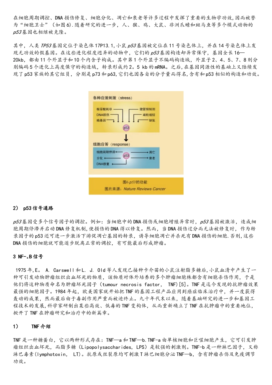2025年肿瘤信号通路_第2页
