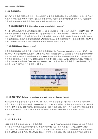 2025年肿瘤信号通路