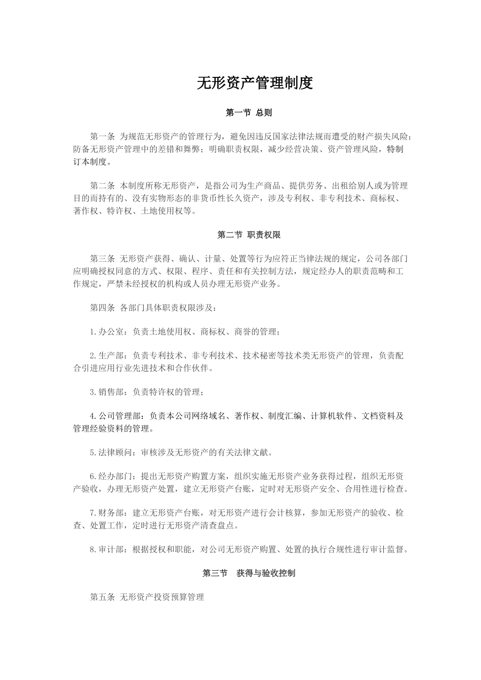 2025年无形资产管理制度_第1页