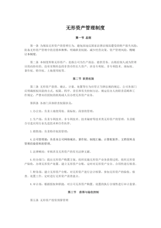 2025年无形资产管理制度