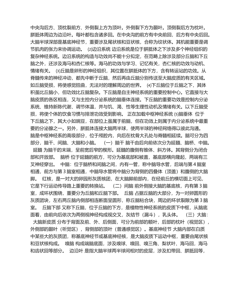 2025年中枢神经系统_第3页