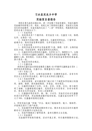 2025年实验室自查报告