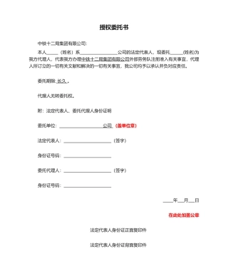 2025年注册授权委托书