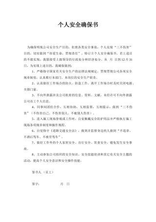 2025年个人安全保证书