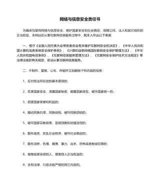 2025年网络与信息安全责任书