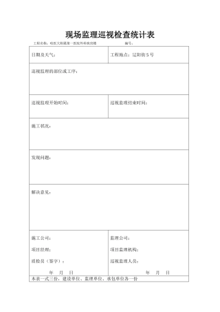 2025年巡视监理记录表