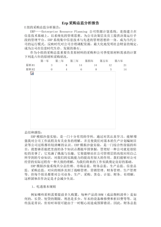 2025年Erp采购总监分析报告