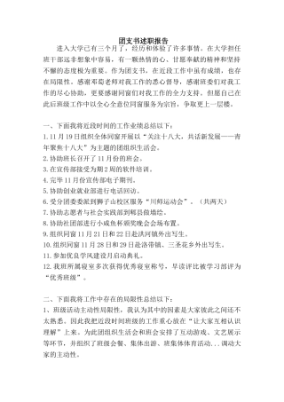 2025年团支书述职报告