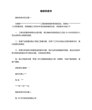 2025年维修承诺书