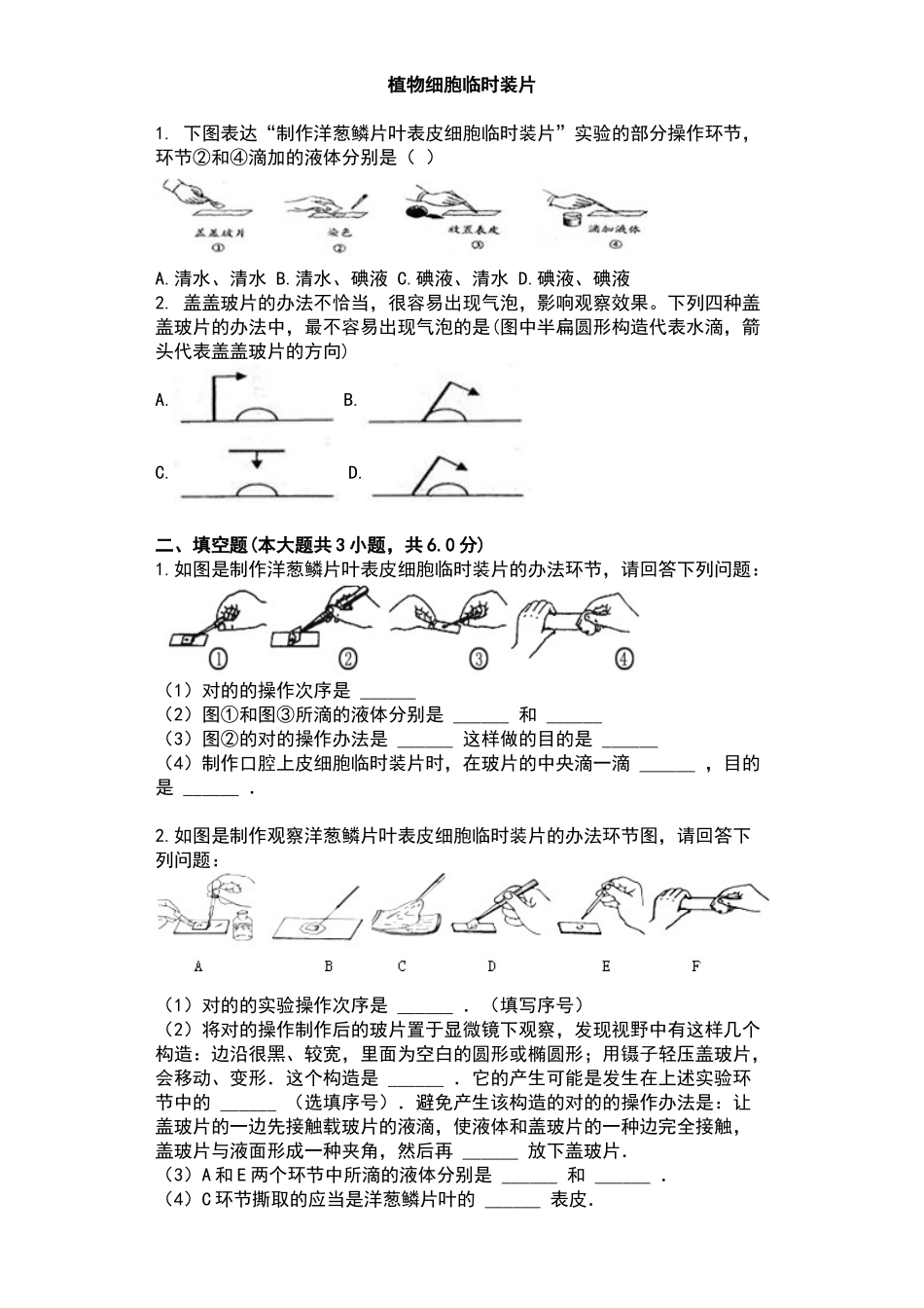 2025年植物细胞测试题_第1页