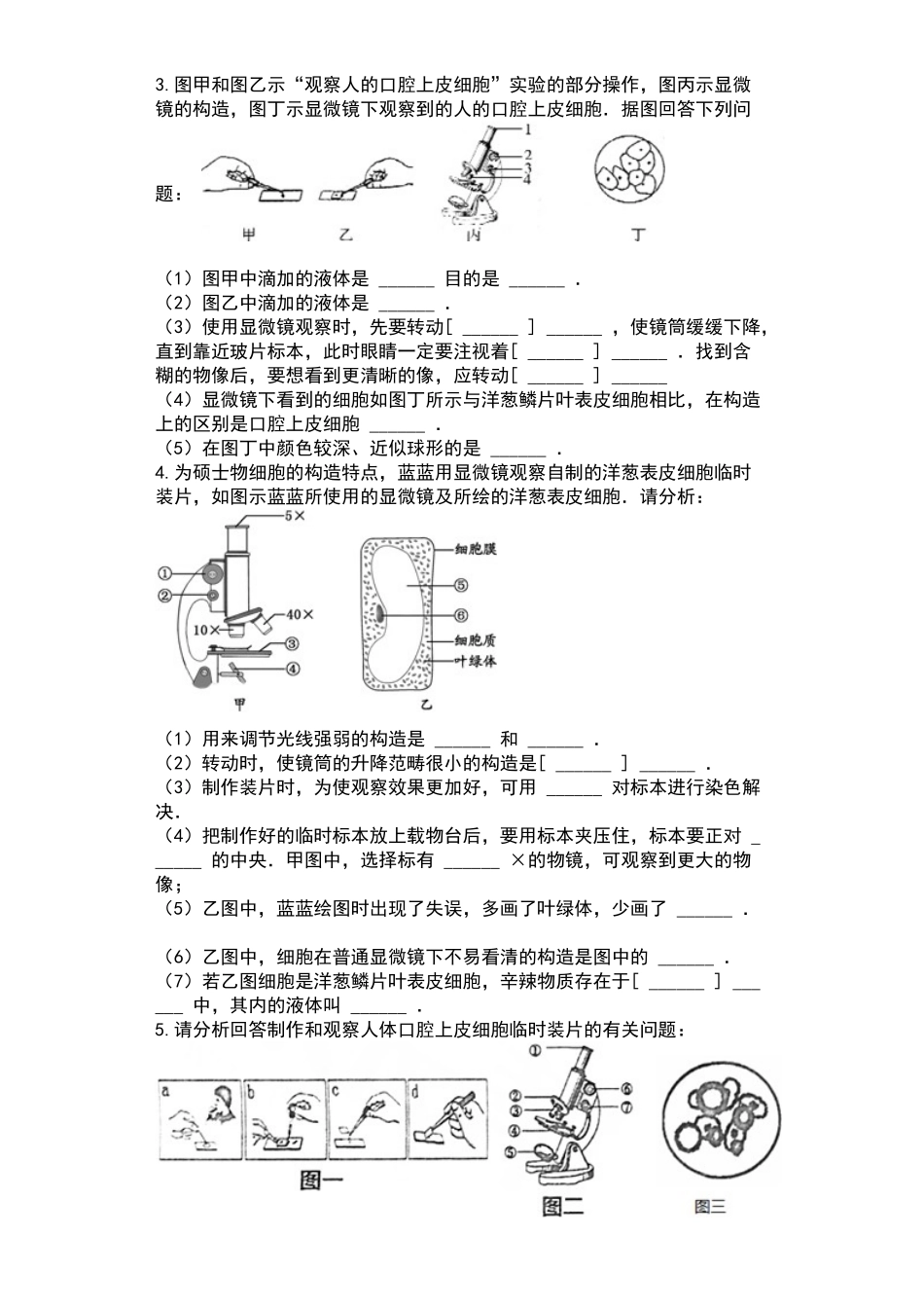 2025年植物细胞测试题_第2页