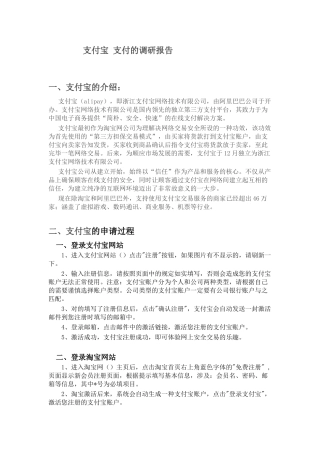 2025年支付宝支付的调研报告