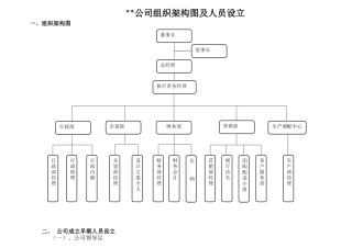 2025年公司组织架构图
