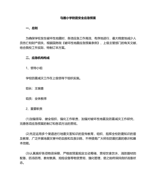 2025年小学防震安全应急预案