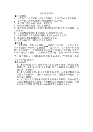 2025年急产应急预案