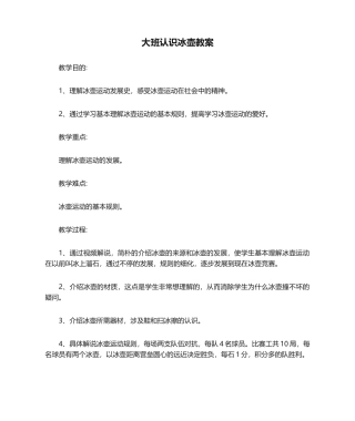 2025年大班认识冰壶教案