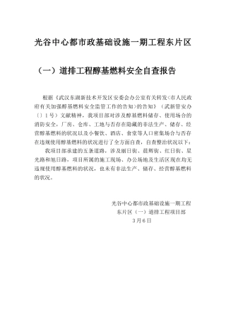 2025年醇基燃料自查报告