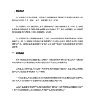 2025年项目说明书