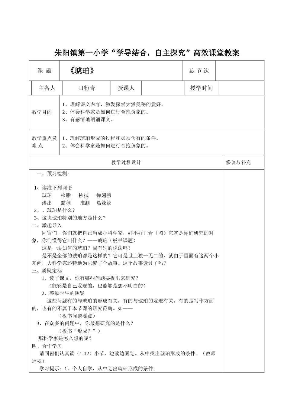 2025年琥珀教案_第1页
