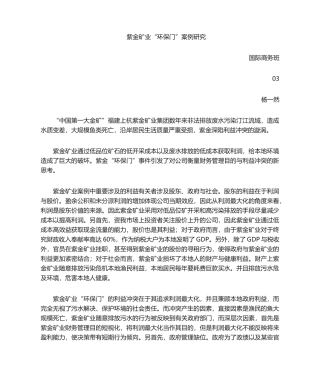 2025年紫金矿业案例分析