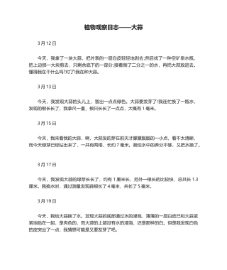 2025年植物观察日记大蒜日记大全