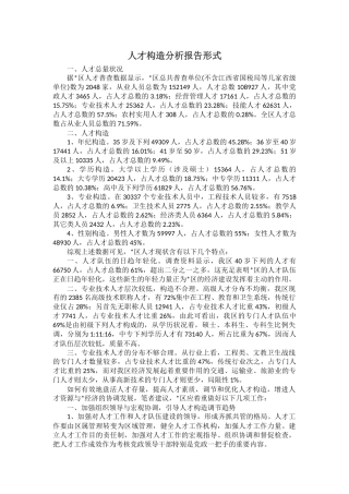 2025年人才结构分析报告形式