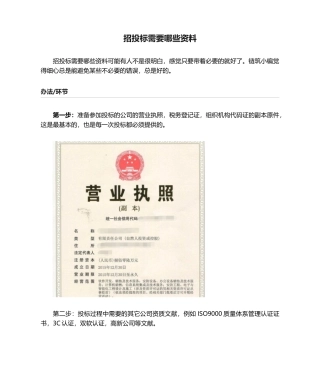 2025年招投标需要哪些资料