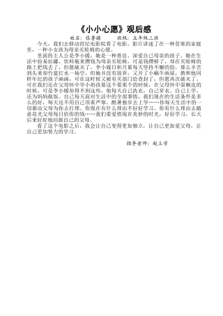 2025年小小心愿观后感