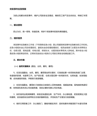 2025年公司应急预案