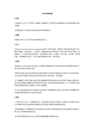 2025年PPE管理制度