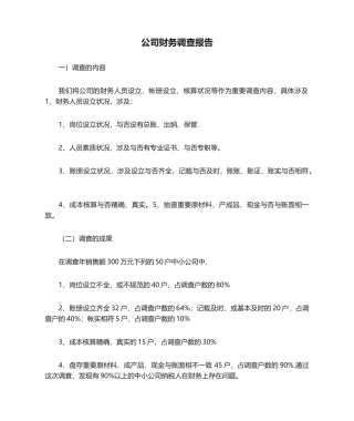 2025年公司财务调查报告