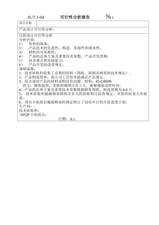 2025年可行性分析报告