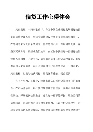 2025年信贷工作心得体会