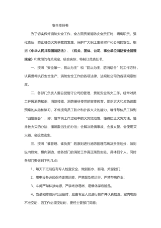 2025年安全责任书责任人