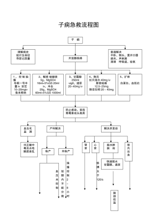 2025年子痫抢救流程图