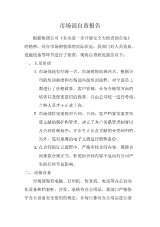 2025年自查报告市场部