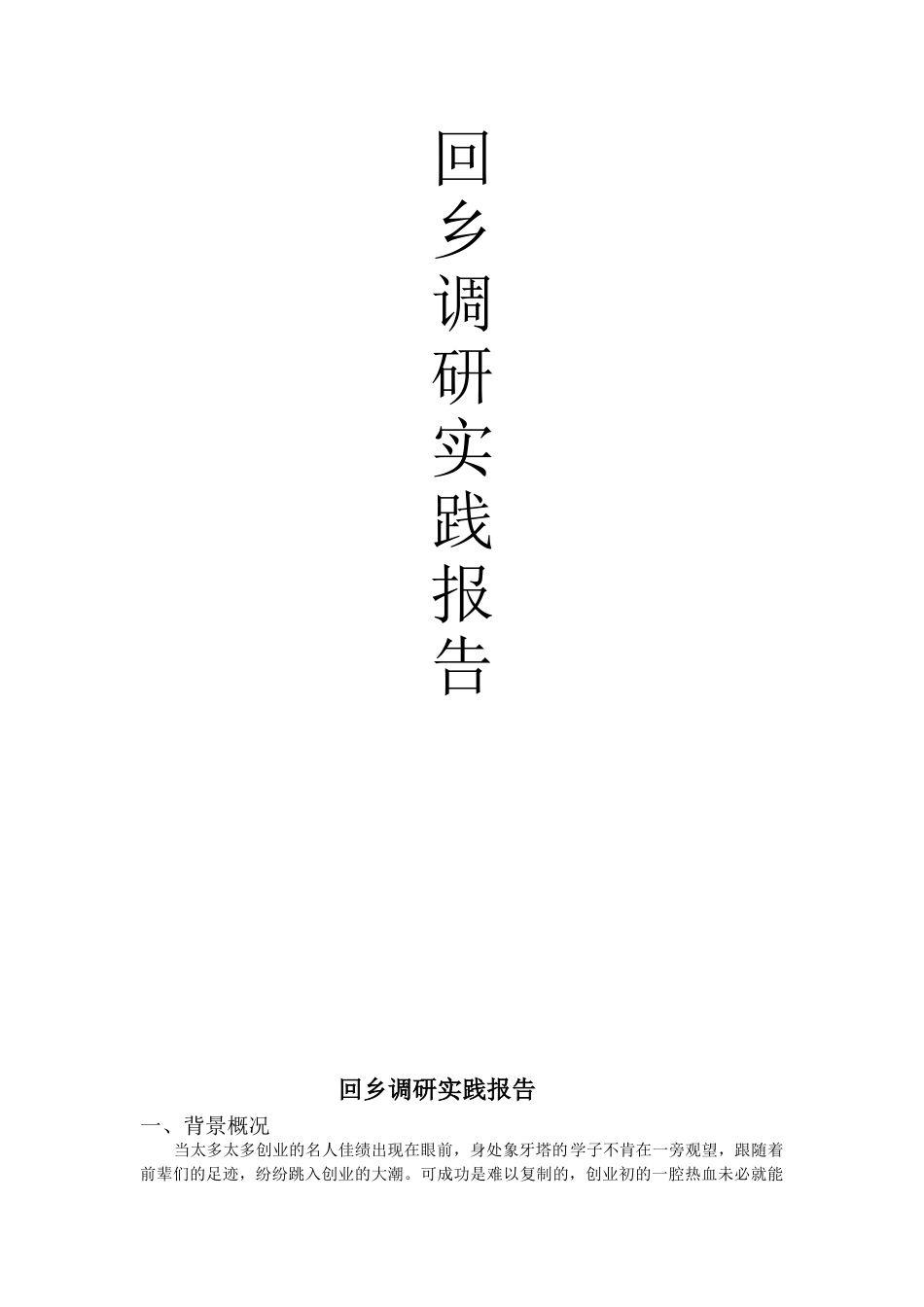 2025年回乡调研报告_第1页