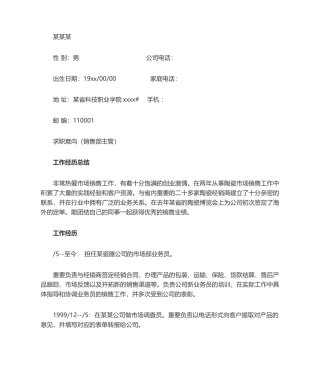 2025年在职人士简历模板