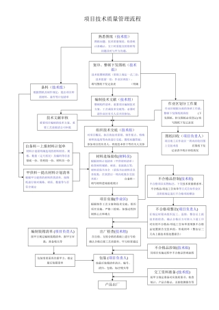 2025年项目管理流程图