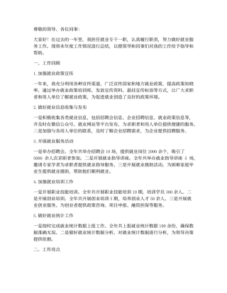 就业专干年终述职